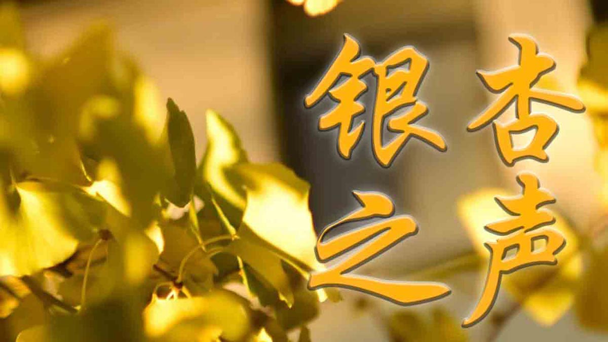 版权所有©新宝gg成为中超联赛指定合